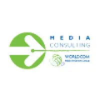 Media-consulting