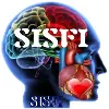 SISFI -Scudder Intervention Services Foundation, Inc. SISFI -Scudder Intervention Services Foundation, Inc.