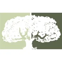 Banyan Investment Partners