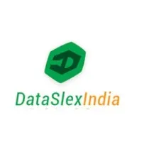 DataSlexIndia | Web Development | App Development | DBA Service | Data Entry | Salesforce Consulting
