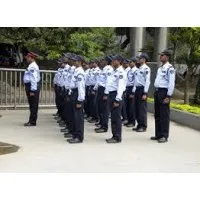 GLOBAL MANAGEMENT SERVICES, LLC GLOBAL MANAGEMENT SERVICES, LLC