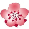 China Airlines 中華航空 China Airlines 中華航空