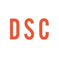 Development Strategy Consultants