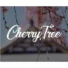 Cherry Tree Cherry Tree