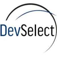 DevSelect, LLC