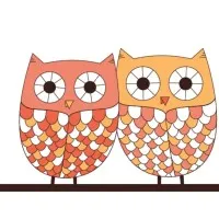 Older Wiser Life Services