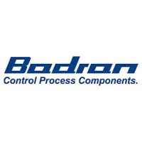 Badran control process components