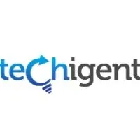 Techigent Technologies Pvt Ltd