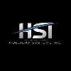 Holliday Systems Inc Holliday Systems Inc
