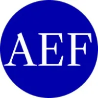 anengineerfactez