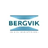 Bergvik Group