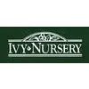 Ivy Nursery Inc Ivy Nursery Inc