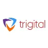 Trigital Technologies Pvt Ltd Trigital Technologies Pvt Ltd