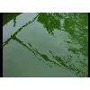 Environalgae Environalgae