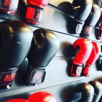 BOUT Boxing