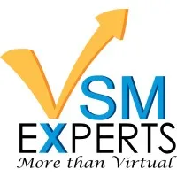 VSM Experts