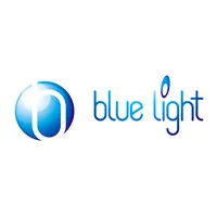 Blue Light Industry LLC (Foundry & Heat Treatment Division)