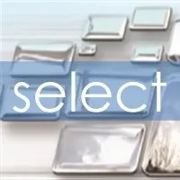 Select Real Equity Advisors