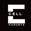 E-Cell Karunya E-Cell Karunya