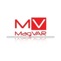 Magnetic Variation Services LLC