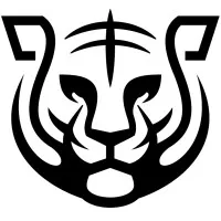 Tora Consulting, LLC