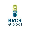 BRCR Global BRCR Global