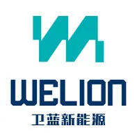WeLion New Energy Technology