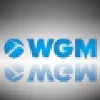 Watts, Griffis and McOuat Ltd. (WGM) Watts, Griffis and McOuat Ltd. (WGM)