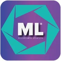 Millionlights email format