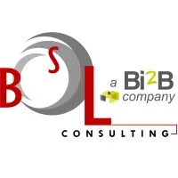 BSL Consulting Elancourt, France BSL Consulting Elancourt, France
