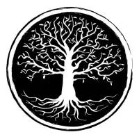 BlackTree Investment Group