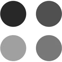 Graydient