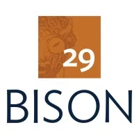 29Bison