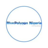 Blue Polygon Nigeria Limited (BPNL)