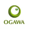 Ogawa Egypt Ogawa Egypt
