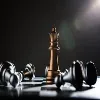 Freelance Advisory Services