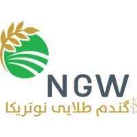 Notrika Golden Wheat - NGW