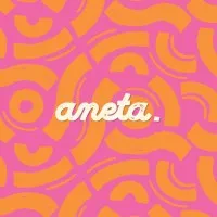 Aneta Studio