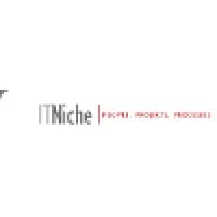 IT Niche