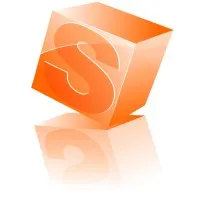 SOFTWARE Y SERVICIOS DEL BAJÍO SA DE CV SOFTWARE Y SERVICIOS DEL BAJÍO SA DE CV