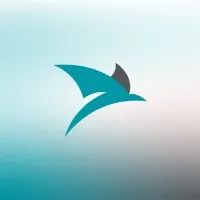 Steps Towards Systemization STS