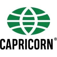 Capricorn SpA email format
