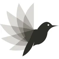 The Big Sparrow The Big Sparrow