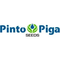 Pinto Piga Seeds