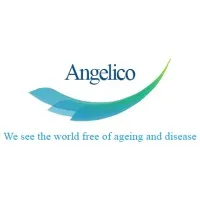 Angelico Ventures