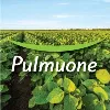 Pulmuone Foods USA, Inc.