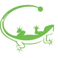 Lizard Monitoring