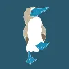 BlueFoot Inc.