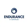 Endurance IT Services