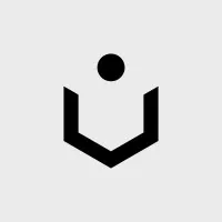 Entropy Neurodynamics